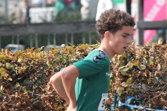 k-2024_crosscountry-land 450